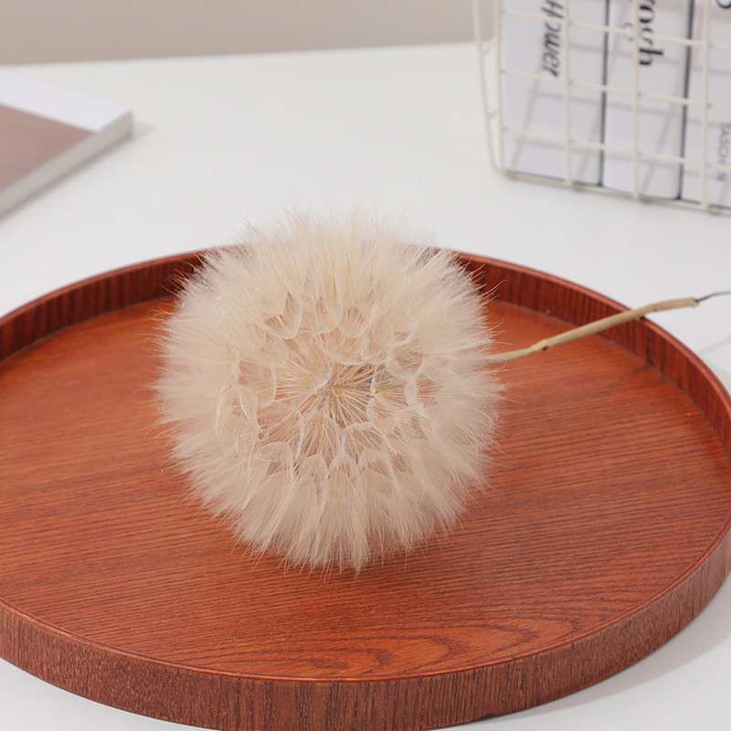 Preserved Dandelion DIY Epoxy  - Resin Crafts Diy review and price