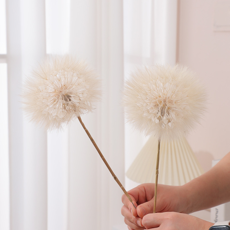 Preserved Dandelion DIY Epoxy  - Resin Crafts Diy review and price