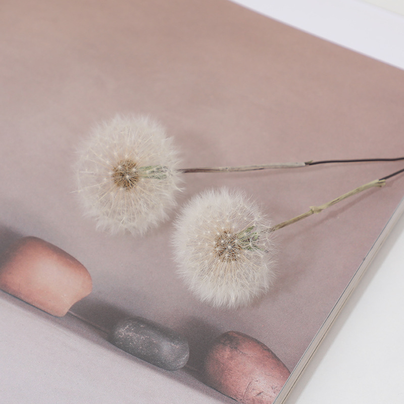 Preserved Dandelion DIY Epoxy  - Resin Crafts Diy review and price