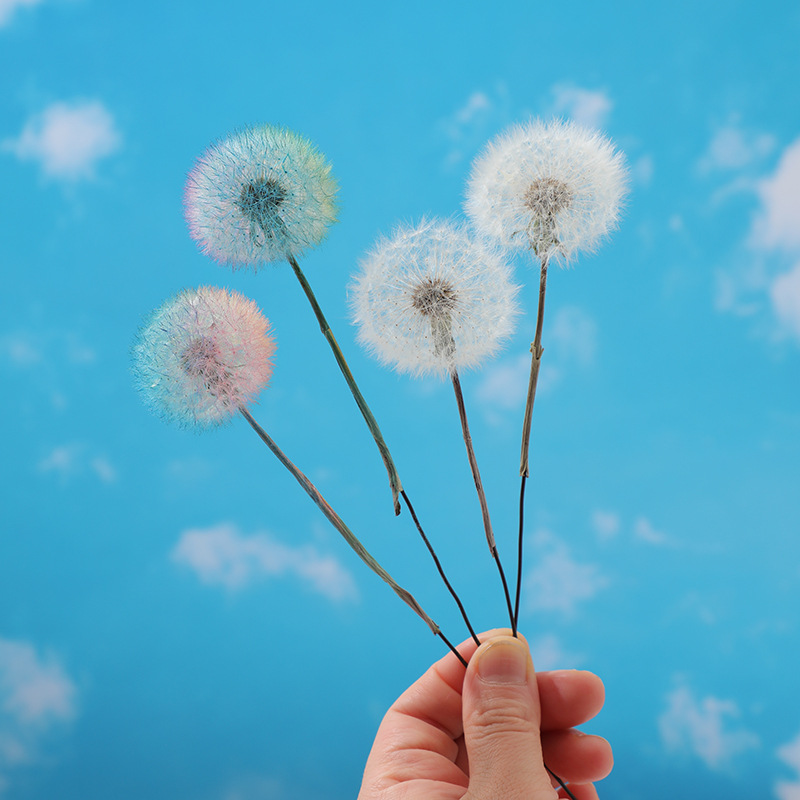 Preserved Dandelion DIY Epoxy  - Resin Crafts Diy review and price